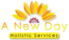 A New Day Services